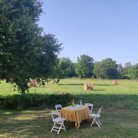 Appartamento Il Picchio Verde Altopascio Buitenkant foto