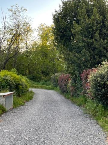 Appartamento Il Picchio Verde Altopascio Buitenkant foto