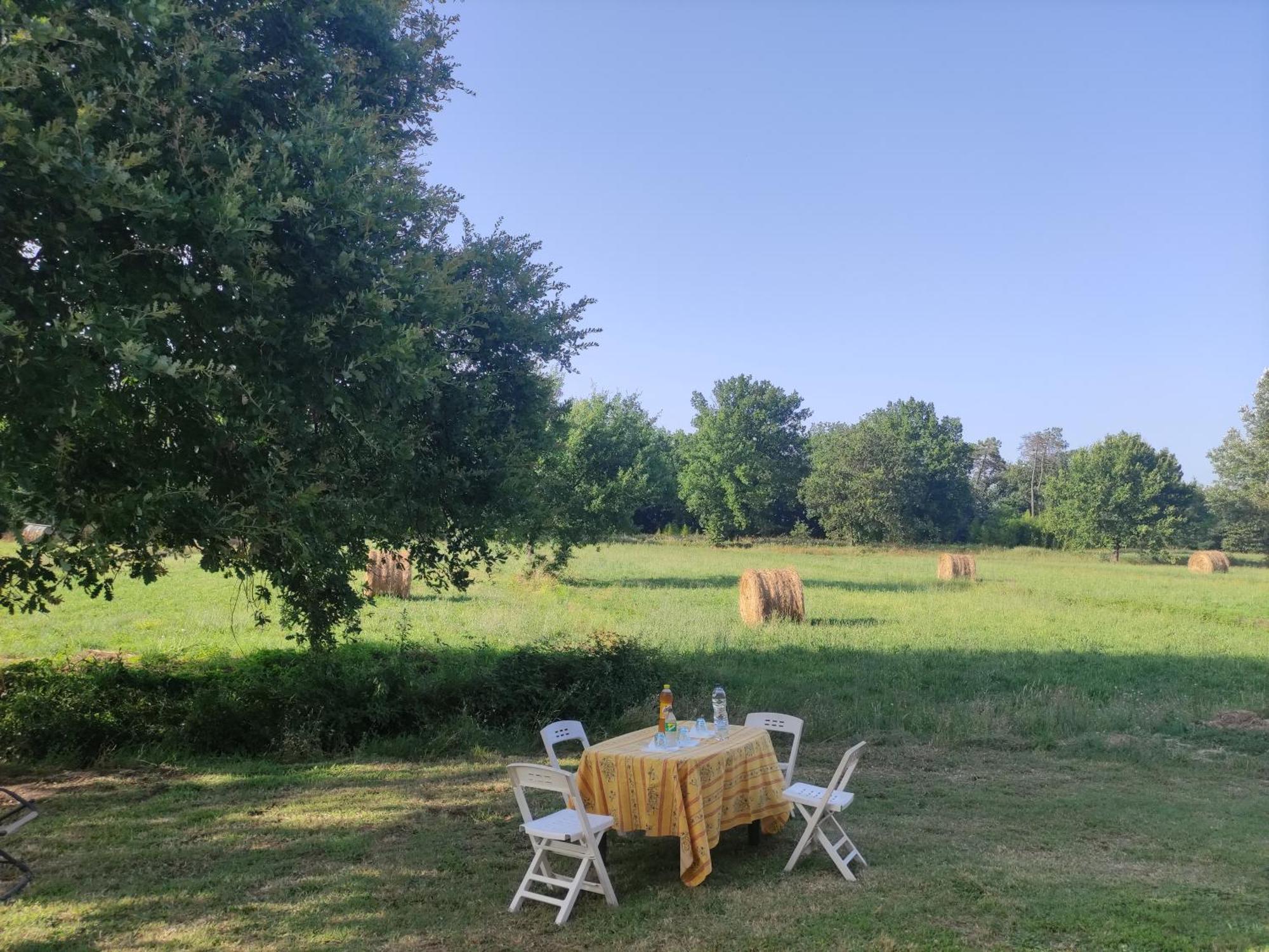 Appartamento Il Picchio Verde Altopascio Buitenkant foto