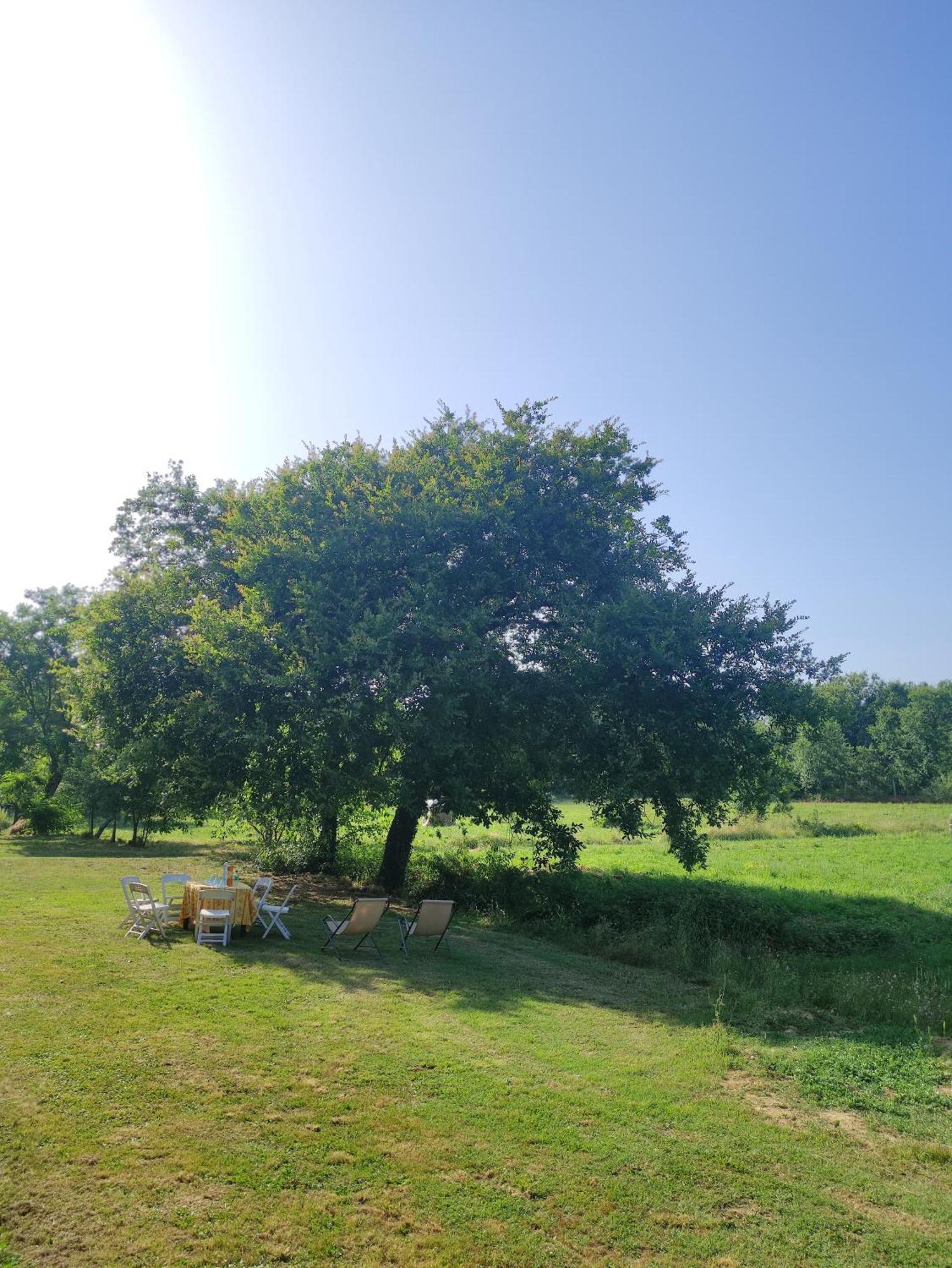 Appartamento Il Picchio Verde Altopascio Buitenkant foto